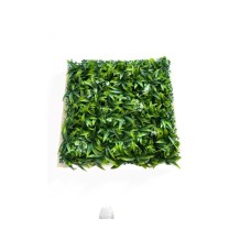 Bolzz Zeleni zid 3D Garden 50x50 cm