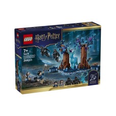 LEGO 76475 Zabranjena šuma: Ekspekto patronum
