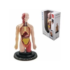 Milla Toys Lutka Ljudski torzo 95/35006