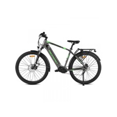 MS ENERGY Električni bicikl e-Bike t100,Siva-Zelena, 1237711