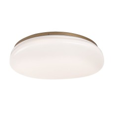 RABALUX Caliope 75053 LED plafonjera RABALUX Caliope 75053 LED plafonjera