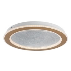 RABALUX Efrael 71281 LED plafonjera RABALUX Efrael 71281 LED plafonjera