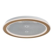 RABALUX Efrael 71282 LED plafonjera RABALUX Efrael 71282 LED plafonjera